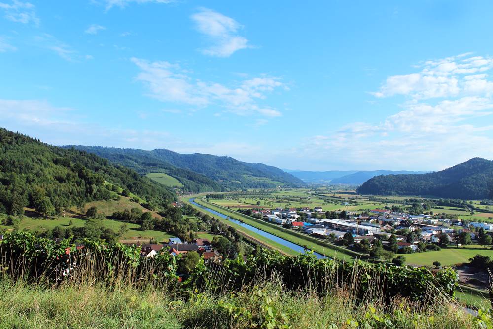 Ausblick ins Kinzigtal von den Weinbergen über Gengenbach aus